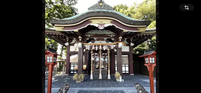【秋の川越氷川神社⛩️釣り🎣をしながら鯛おみくじと川越八幡宮へ行こう