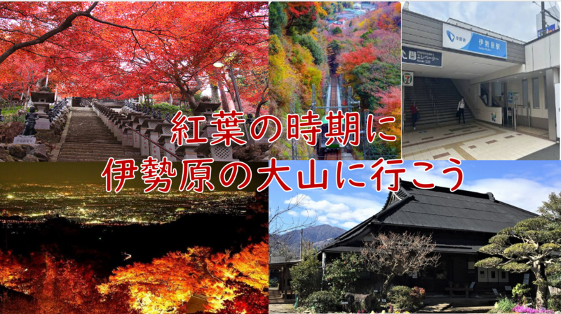 【紅葉の時期に神奈川有数スポットへ】伊勢原の大山に行こう（説明・解説有り）