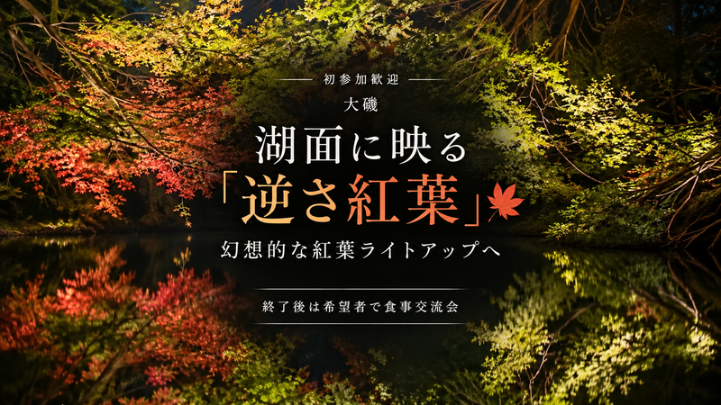 【初参加歓迎｜大磯】湖面に映る「逆さ紅葉」🍁幻想的な紅葉ライトアップ｜終了後は希望者で食事交流会