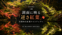 【初参加歓迎｜大磯】湖面に映る「逆さ紅葉」🍁幻想的な紅葉ライトアップ｜終了後は希望者で食事交流会