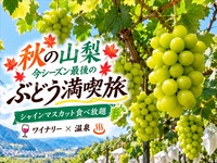 【シーズン最終】山梨ぶどう満喫の旅🍇&ほったらかし温泉♨️ 【第二回】【🚗移動で👍】穴場ワイナリー✨