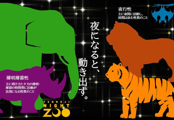 【9/22(火)開催】天王寺動物園2026ナイトZOO
