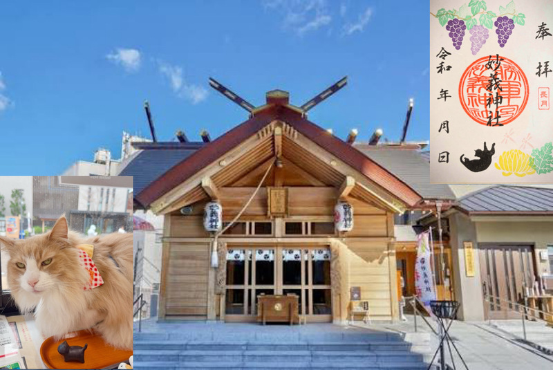 【限定猫御朱印を手に入れよう！】 9/27 10時 駒込　妙義神社【常連の方参加費還元！】
