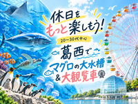 🐠休日をもっと楽しもう！ 20〜30代中心｜葛西でマグロの大水槽＆大観覧車🎡🐟✨