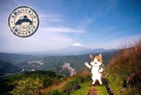 牧歌的な風景と圧倒的な眺望 大野山