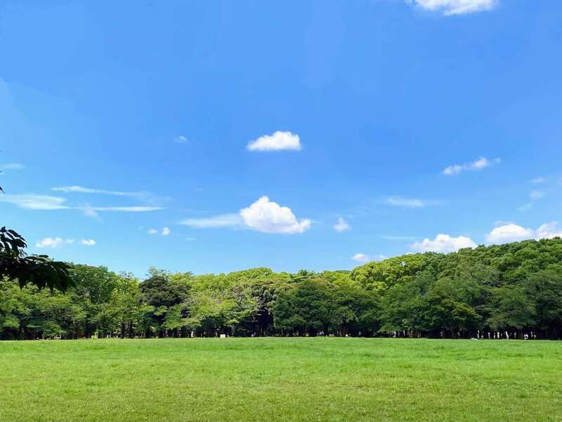 【9/26開催｜代々木公園】犬好き40歳以下限定・ゆるっとお散歩＆交流会🐶🌿
