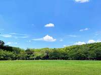 【10/3朝活｜代々木公園】犬好き40歳以下限定・ゆるっとお散歩＆交流会🐶🌿