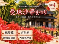 【10/4】曼珠沙華まつり最終日🍁【彼岸花】【鍛冶屋実演】郷土の森から大國魂神社秋の府中さんぽ
