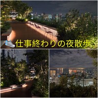 👟仕事終わりの夜散歩.西梅田~中之島👟

