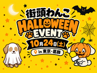 【葛飾区】街頭わんこオフラインイベントを開催します！