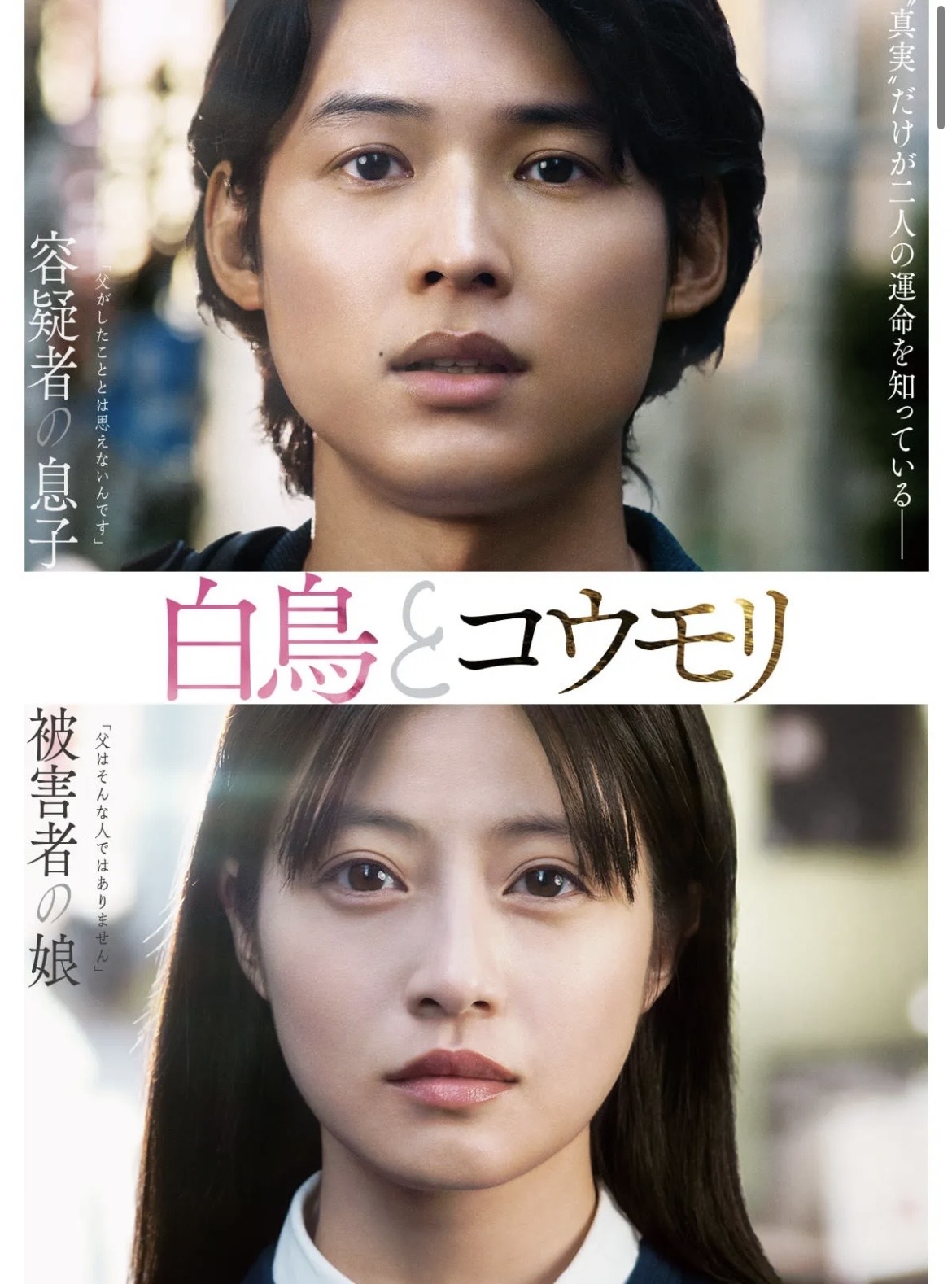 【SixTONES好き限定】映画「白鳥とコウモリ」鑑賞会+カフェで語り合い