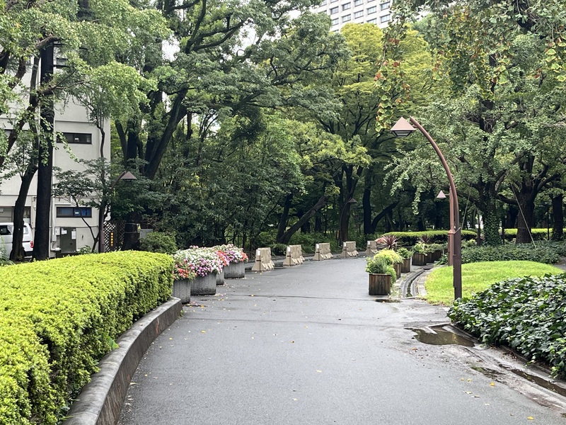🚶🏻【日比谷公園】朝さんぽ と カフェトーク