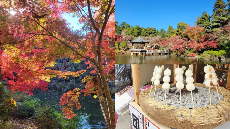 【女性主催】成田山公園紅葉まつり&成田山新勝寺と食べ歩きしよう
