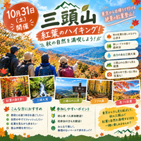 🍁10月31日（土）【紅葉登山】三頭山へ行こう！　紅葉・滝・絶景を楽しむ秋のハイキング⛰️　🔰初心者・1人参加歓迎！