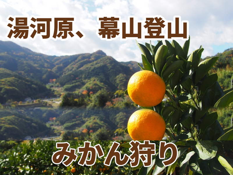 初級者歓迎！【10/25(日)開催】初秋の幕山トレッキング➕早生みかん狩り🍊