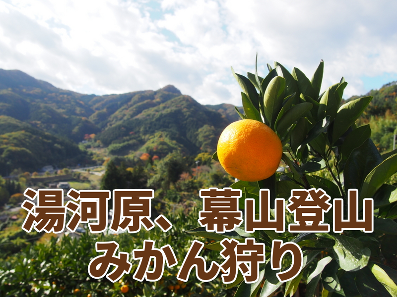 初級者歓迎！【10/25(日)開催】初秋の幕山トレッキング➕早生みかん🍊狩り