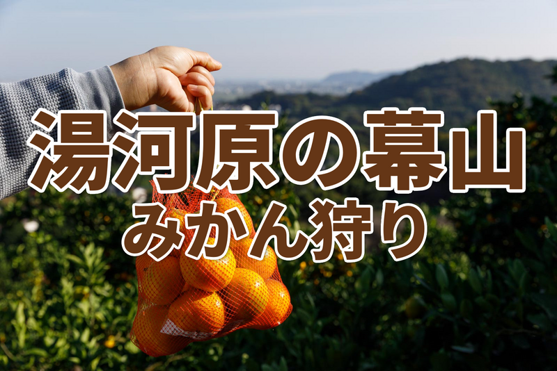 初級者歓迎！【10/25(日)開催】紅葉🍁の幕山ハイキング➕早生みかん🍊狩り