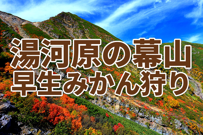 初級者歓迎！【10/25(日)開催】紅葉🍁の幕山ハイキング➕早生みかん🍊狩り