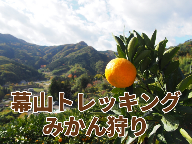 初級者歓迎！【10/25(日)開催】紅葉🍁の幕山トレッキング➕早生みかん🍊狩り
