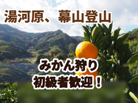◆登山初級者歓迎【たまトレオリジナル】【10/25(日)開催】幕山トレッキング➕相模湾眺望➕秋のすすき➕みかん狩り🍊