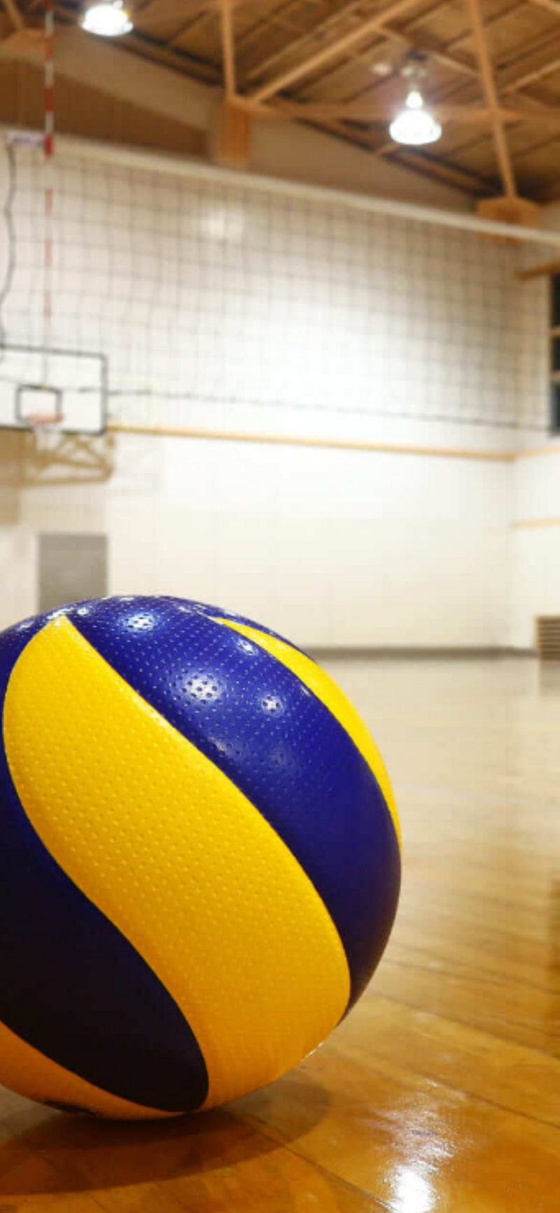バレーボールはやっぱおもろいなってやつ開催します🏐