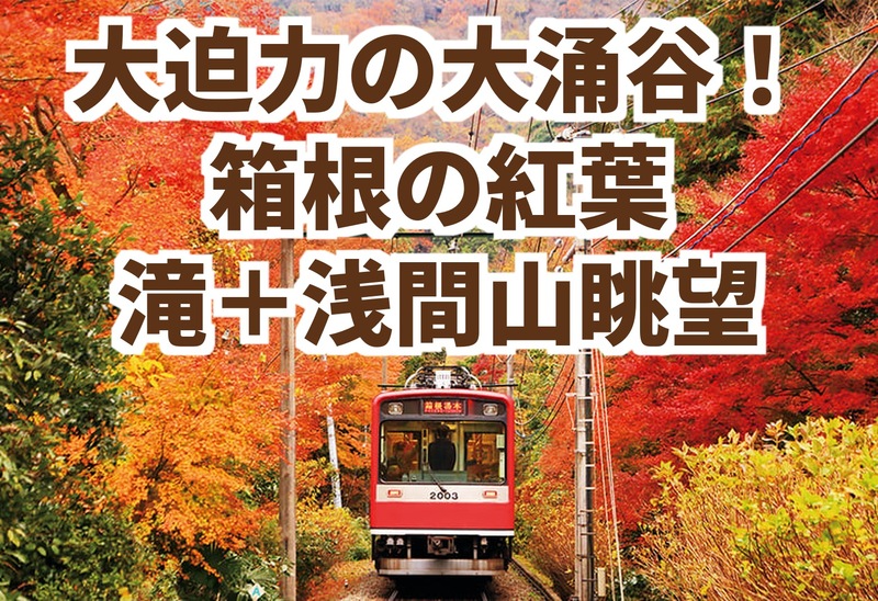 【11/3(火・祝)開催】大涌谷＆秋の箱根、滝、浅間山眺望！紅葉🍁の箱根スペシャル