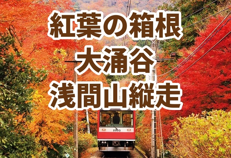 【たまトレオリジナル】【11/3(火・祝)開催】大涌谷＆秋の箱根2峰縦走！紅葉🍁の早雲山〜鷹巣山〜浅間山〜千条の滝 