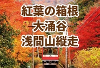 【たまトレオリジナル】【11/3(火・祝)開催】大涌谷＆秋の箱根2峰縦走！紅葉🍁の早雲山〜鷹巣山〜浅間山〜千条の滝 