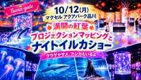 【10/12 品川・マクセルアクアパーク】女性主催🍁紅葉プロジェクション×イルカショー観賞会🐬✨