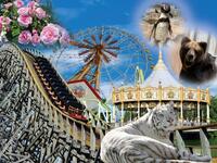 【東武動物公園】20代30代限定🦁遊園地＆動物園で満喫！貸切感覚の大人ピクニック✳️