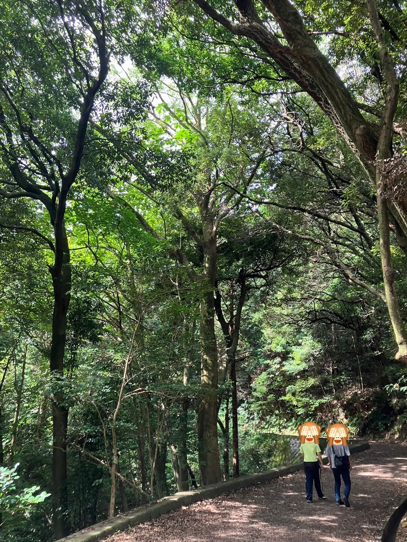 【爽快登山⛰️】気軽に楽しむ秋の山登り☀️➰🍂🍁