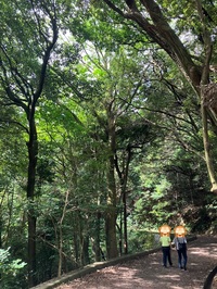 【爽快登山⛰️】気軽に楽しむ秋の山登り☀️➰🍂🍁