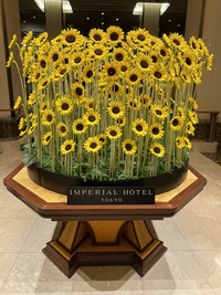 帝国ホテル東京 お茶会🫖☕️（女性主催）