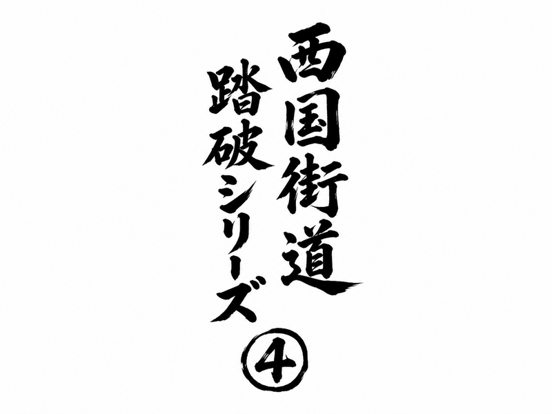 西国街道踏破シリーズ④
東寺を目指せ！８３ｋｍ　西国街道踏破シリーズ≪其の四≫