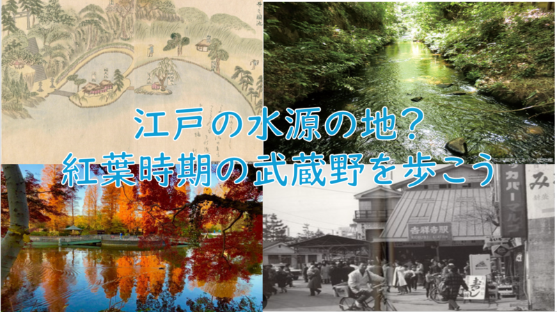 【紅葉と昔の上水をたどる旅】武蔵野市内＋井の頭公園に行こう（説明・解説有り）