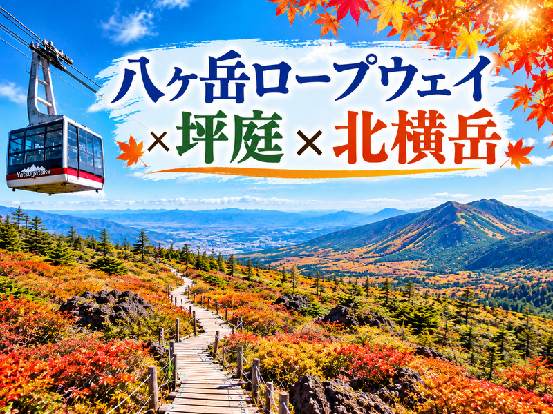 10/10　🚠紅葉の季節に 絶景の北八ヶ岳へ！八ヶ岳ロープウェイ×坪庭×北横岳