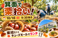 【10/18(日)】箕面で秋の味覚！栗拾い＆ランチ 🍂🌰