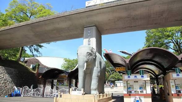 10/1 多摩動物公園に行きましょう  入園無料です
