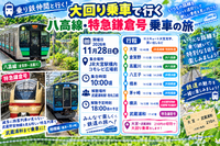 (大宮駅集合‼️) 大回り乗車で行く！  八高線・特急鎌倉号乗車の旅🚞