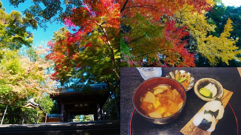 【女性主催】けんちん汁発祥の地！北鎌倉のけんちん汁&お寺巡りで紅葉を見に行こう！カメラ好きカフェ喫茶好き必見です！