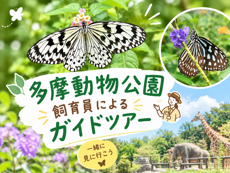 【多摩動物公園ガイドツアー】飼育員ガイドで動物と蝶の魅力を満喫しよう♪入園料主催者負担