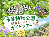 【多摩動物公園ガイドツアー】飼育員ガイドで動物と蝶の魅力を満喫しよう♪入園料主催者負担