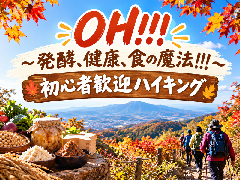 12/6【物価高応援】OH!!!～発酵、健康、食の魔法!!!～晩秋を楽しむ初心者歓迎ハイキング、下山後は、ランチも！
