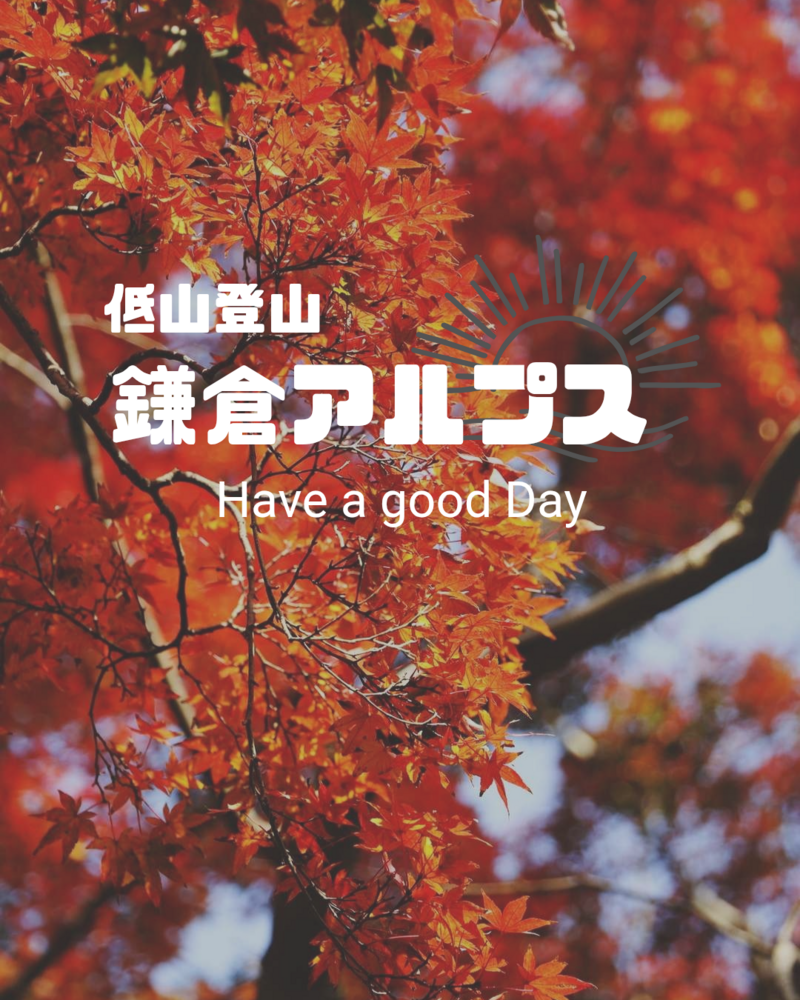 鎌倉アルプス低山登山　〜紅葉と海の絶景ハイキング〜