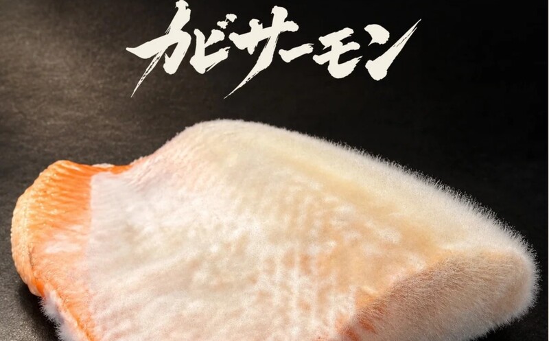 【35歳~】【格付けチェック】カビ漬けマグロ・サーモンと泡シャンパーティー🍾格付けチェック【女子主催】