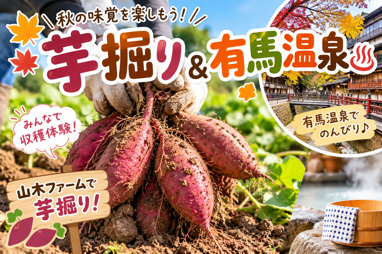 【11/1(日)】🍠✨ 秋の味覚を楽しもう！芋掘り＆有馬温泉♨️