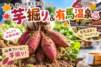 【11/1(日)】🍠✨ 秋の味覚を楽しもう！芋掘り＆有馬温泉♨️