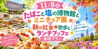 【11/8(日)たばこと塩の博物館】女性主催🎀ミニチュア展＋紅葉散歩＆スカイツリーランチブッフェでゆったり交流♪
