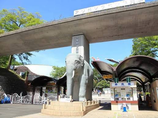 【10/1(木)】多摩動物公園に行きませんか🦁🌿