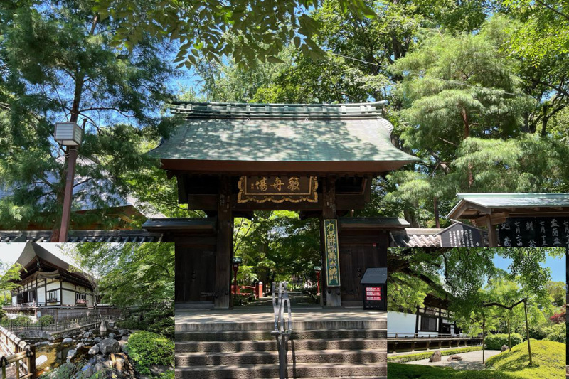 【自由が丘周辺の自然豊かなお寺散策！】10/11 15時　九品仏浄真寺【参加費還元！】
